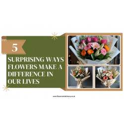 5 Surprising Ways Flowers Make a Difference in Our Lives